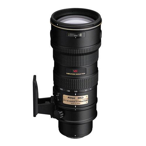 Nikon AF-S NIKKOR70-200mm f/2.8G いとおしい ED VRII